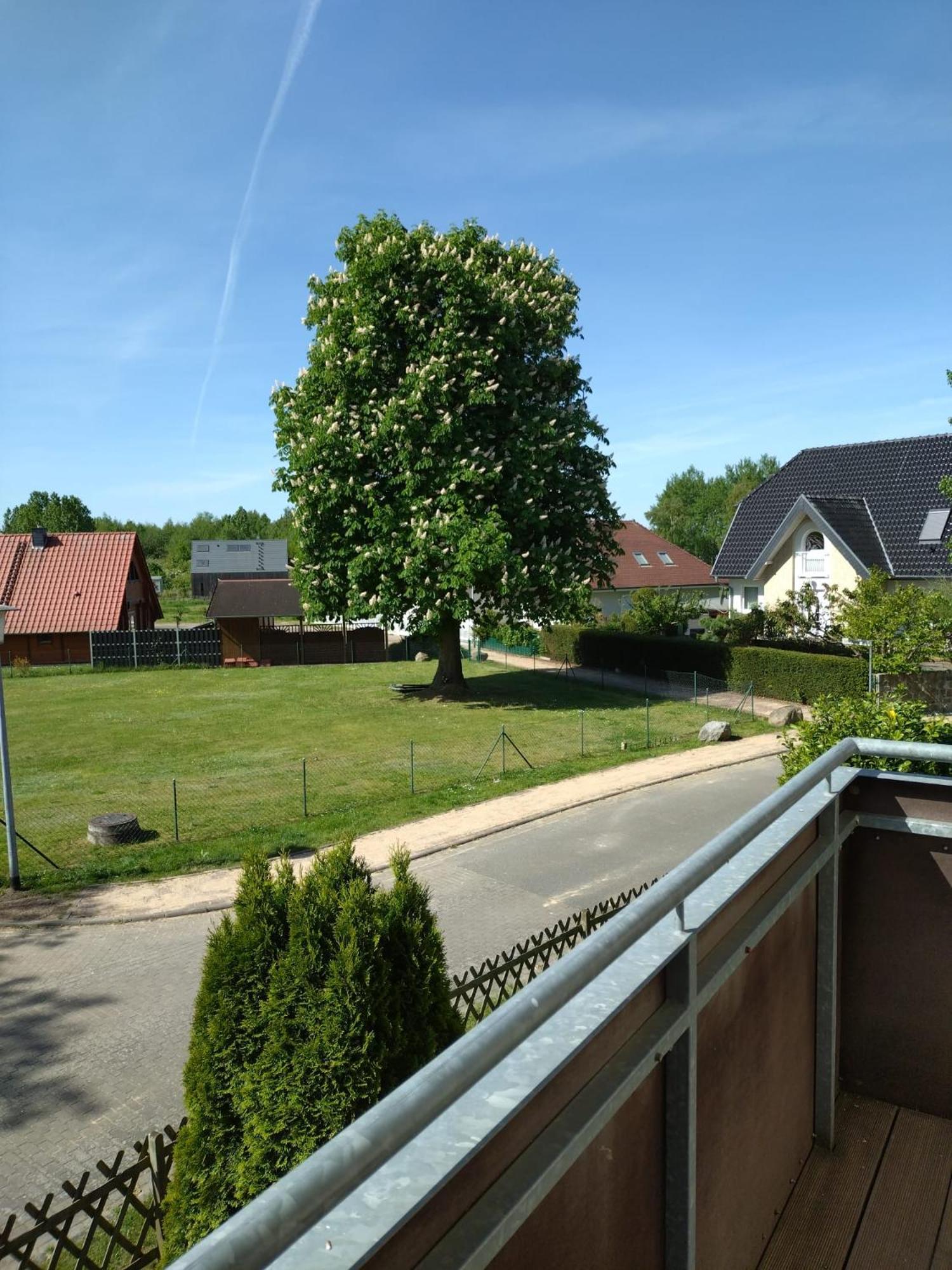 Ferienhaus Rechlin See Ngoại thất bức ảnh